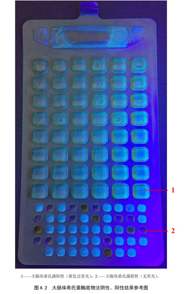 大腸埃希氏菌酶底物法陰性、陽(yáng)性結(jié)果參考圖